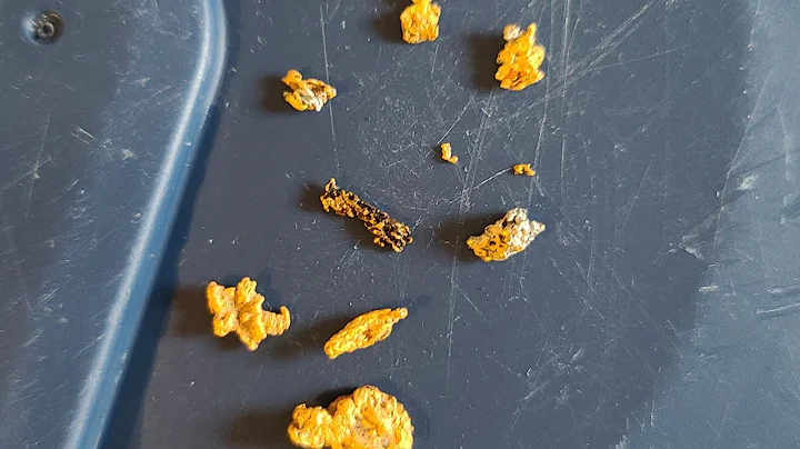 Virginia Gold Prospecting - Bedrock Gold