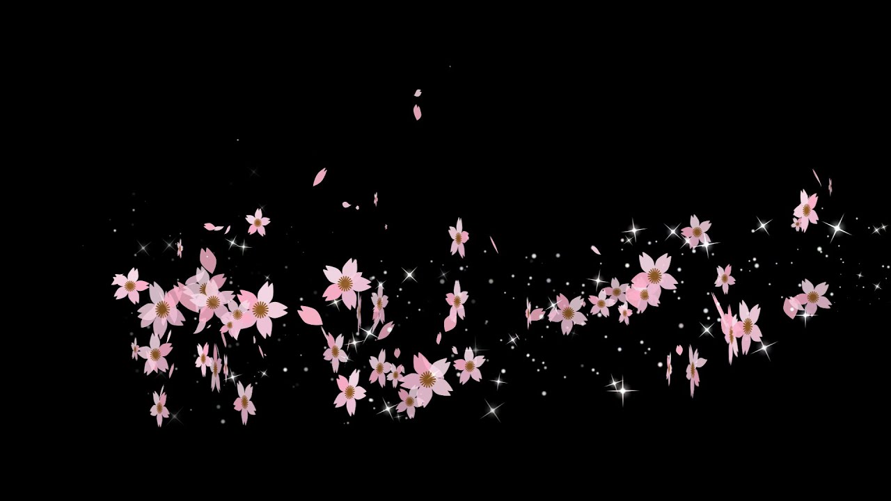 無料動画素材 回転する春の桜のパーティクル