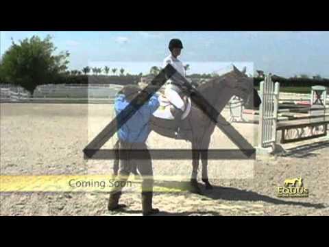 Will Simpson on Monty Roberts Equus Online University