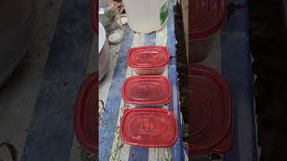Red Mouth Bolete dye experiments step 1