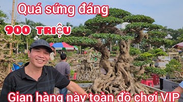 Báo giá công khai 900 triệu cây sanh cổ 2 thân và hàng loạt tác phẩm đẹp siêu chất tại triển lãm