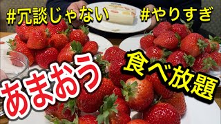 【果実園リーベル】((期間限定)) もう本当にやりすぎっ!! 「あまおういちご」 食べ放題!!