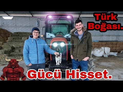 TÜMOSAN 8105 TRAKTÖR