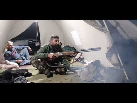 طبیعت بکر وزیبا در کنار دریاچه