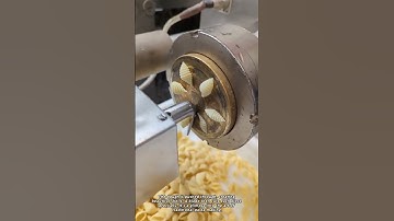 How Is Shell Pasta Actually Made?