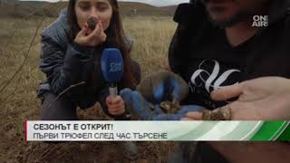 видео: Трюфели и черешова ракия - рецептата за щастлив брак на Кейси и Ангел картинка: Трюфели и черешова ракия - рецептата за щастлив брак на Кейси и Ангел