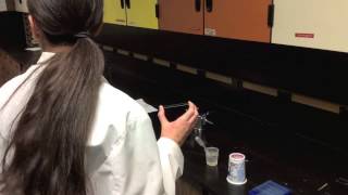 Cell Comparison Lab