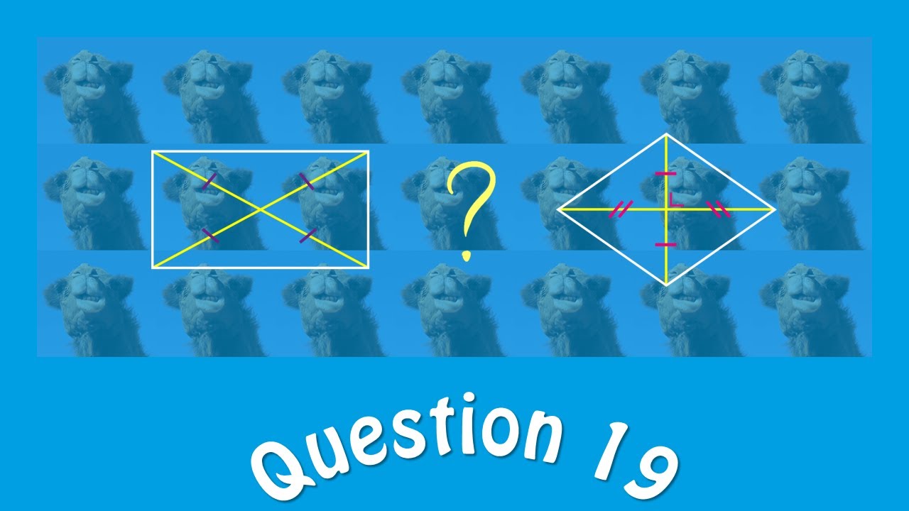 #CE1D 2019 Mathématiques - question 19 (aide à la préparation au CE1D Math/correction)