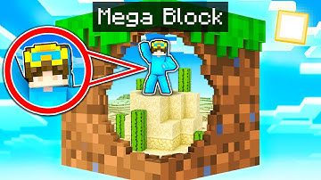 Minecraft But We’re On ONE MEGA BLOCK!
