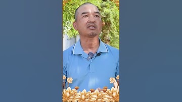 Đoàn Văn Báu Cho Biết Sư Minh Tuệ Không Bao Giờ Được Về Việt Nam Gì Gây Mất An Ninh Trật Tự