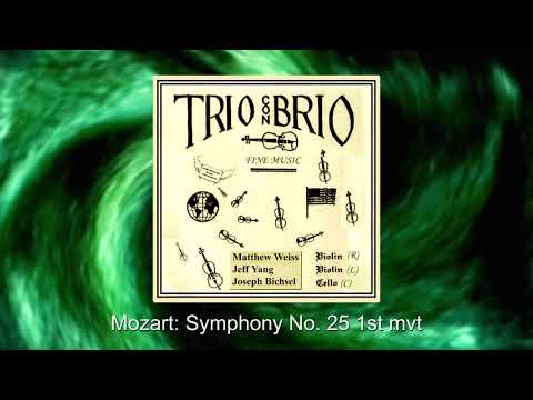 mozart-symphony-no.-25-|-trio-con-brio-®