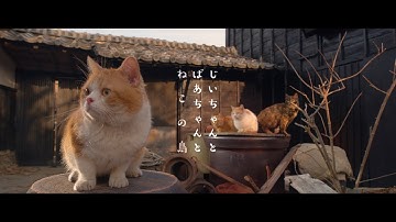 猫写真の第一人者・岩合光昭氏、映画初監督　柴咲コウ3年ぶりに映画出演　「ねことじいちゃん」予告映像