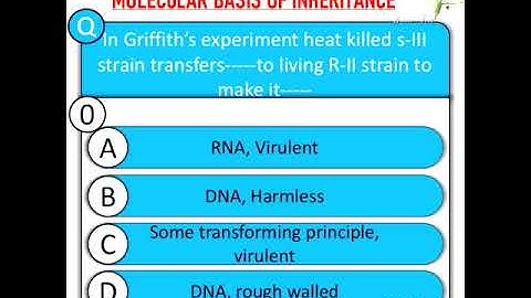 neet 2022 molecular basis of inheritance mcq