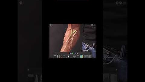 USGPIV - Junction Theory Portrait 06.mp4