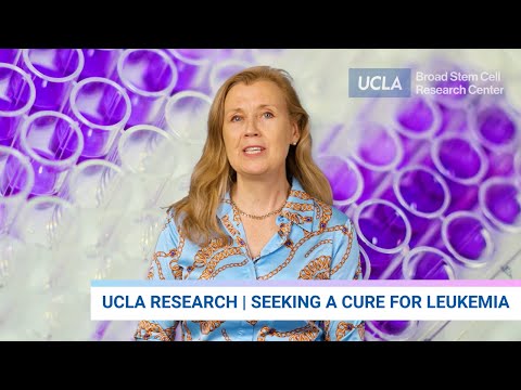 Seeking a Cure