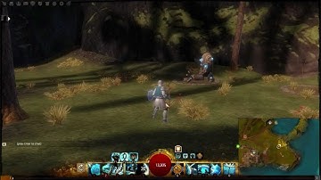 Guild Wars 2 Beta: Guardian Scepter and Focus Skills