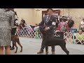 DPCA Best of Breed final Mirage goes BOW