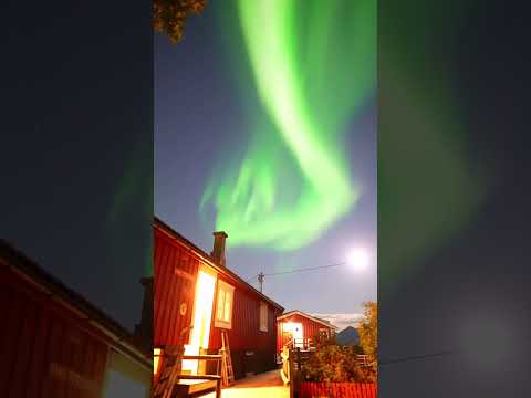 Northern Lights from my chimney ✨ #moon #auroraborealis #northernlights