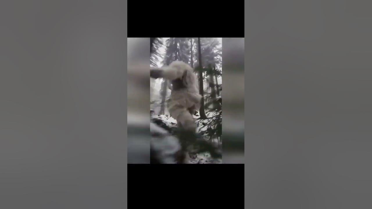 Чемпион по слоумо в Японии