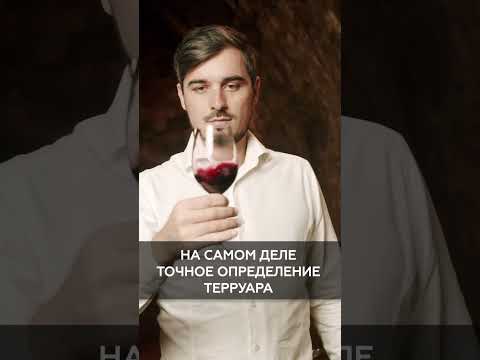 Что такое терруар?