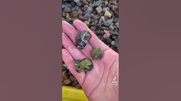 That’s right, two buckets of rocks! 😅