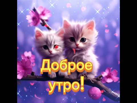 ☕Доброе утро!🌞🌈 #пожелания #2024 #реки