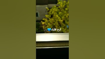 القارئ: إسلام صبحي( سوره  السجده) 🌿🤍