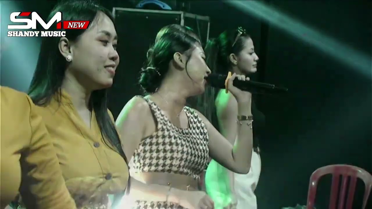 ALL ARTIS - NEW SHANDY MUSIC - GERIGIS