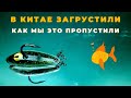 Для  самых продвинутых любителей ультралайта шикарная идея с большим потенциалом