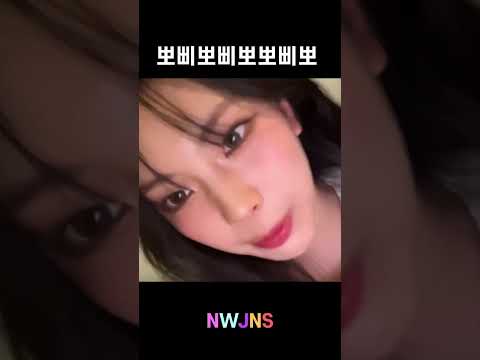 뽀삐뽀삐뽀뽀삐뽀