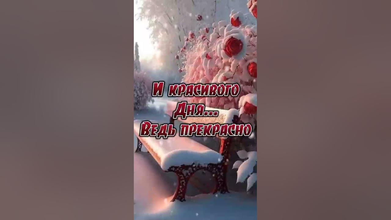Я ЖЕЛАЮ ВАМ, КАЖДОМУ СЧАСТЬЯ ! ... - YouTube