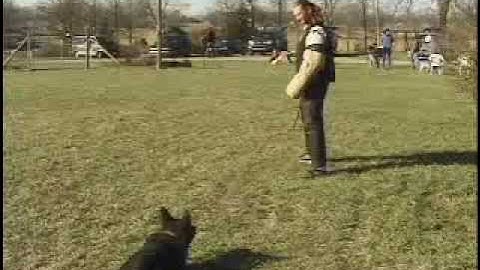 USCA Helper Training Video