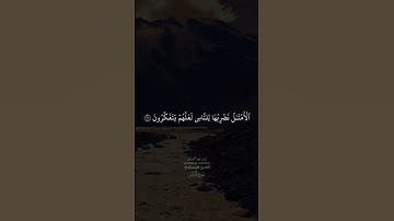 الشيخ المنشاوي سورة الحشر #سورة_الحشر #الشيخ_محمد_صديق_المنشاوي #قرآن_كريم #آيات_الله_المحكمات