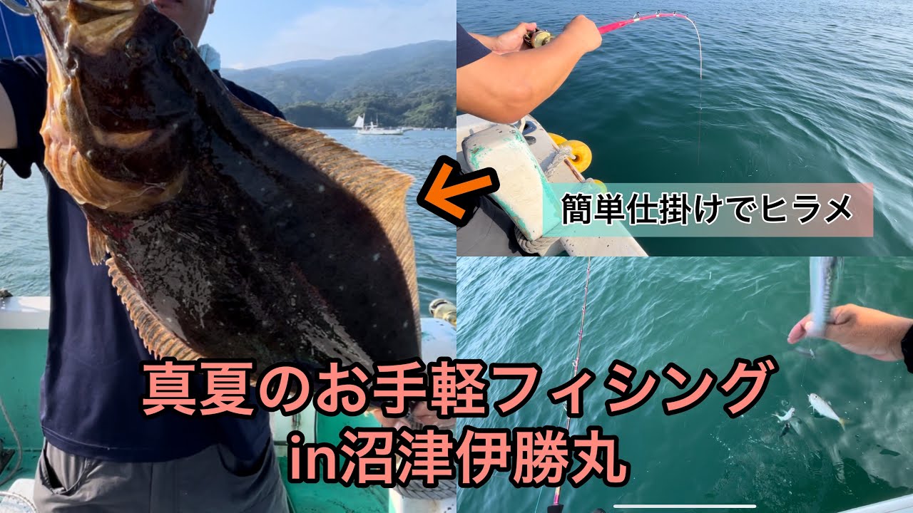 No. 44 [Numazu Ikatsumaru] Easy sabiki fishing in midsummer! You