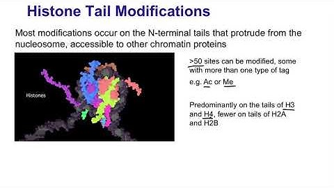 1.   Introduction to histone tail modifications