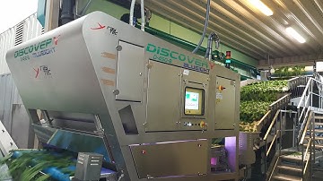 Discovery optical sorting machine for spinaches | RAYTEC VISION SpA