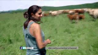 Watch The Family Farm Trailer