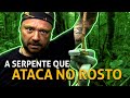 A JARARACA QUE ATACA O ROSTO! | RICHARD RASMUSSEN