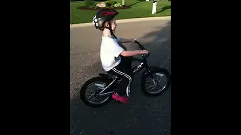 IMG 0369