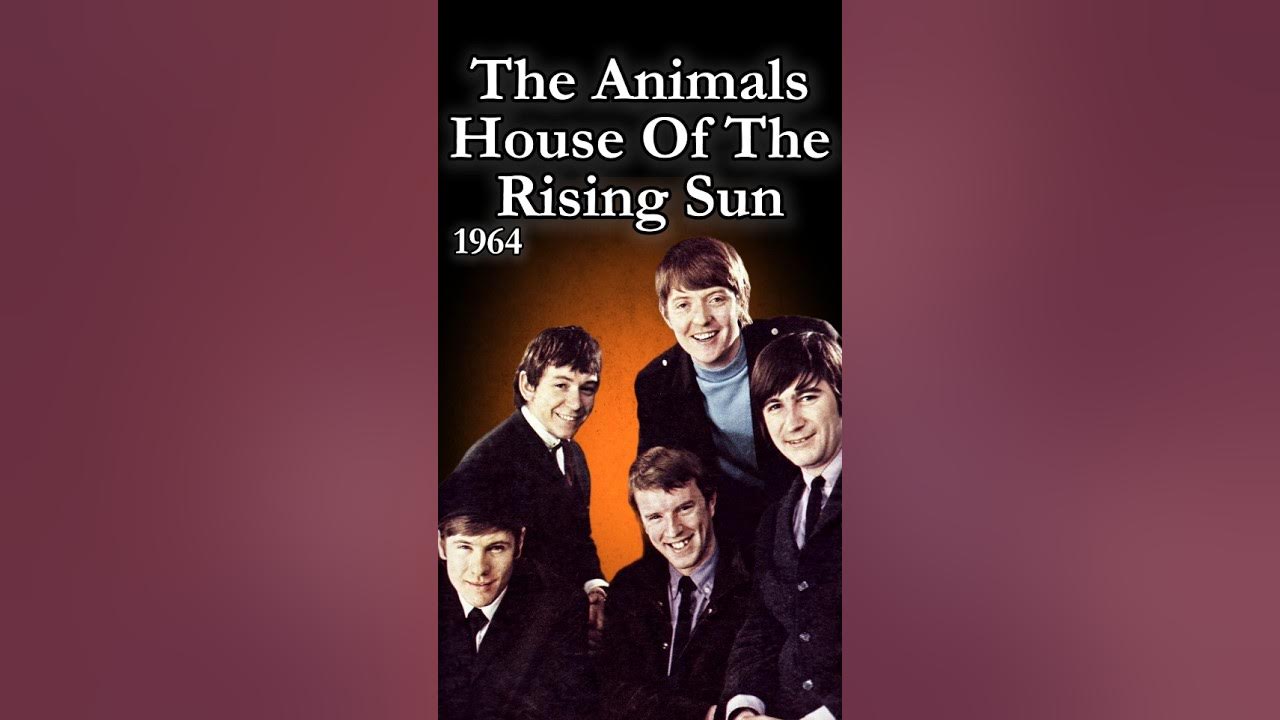 The Animals – House of the Rising Sun special video mix #Savik6655 #shorts #short The Animals – House of the Rising Sun special video mix #Savik6655 #shorts #short