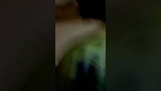 Celebrity Jamaican wybes Net Worth