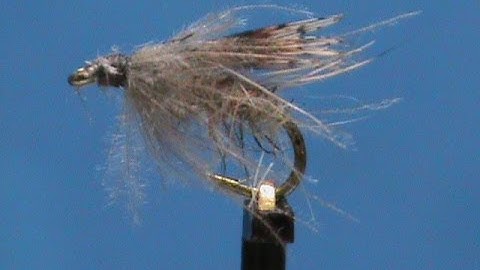 Beginner Fly Tying a Stillborn Caddis with Jim Misiura