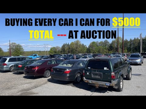 How Many Cars Can I Buy With $5,000 At Auction??