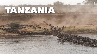 Safari Tanzania \& Zanzibar | GoPro HERO4 Session | Inge van Keulen