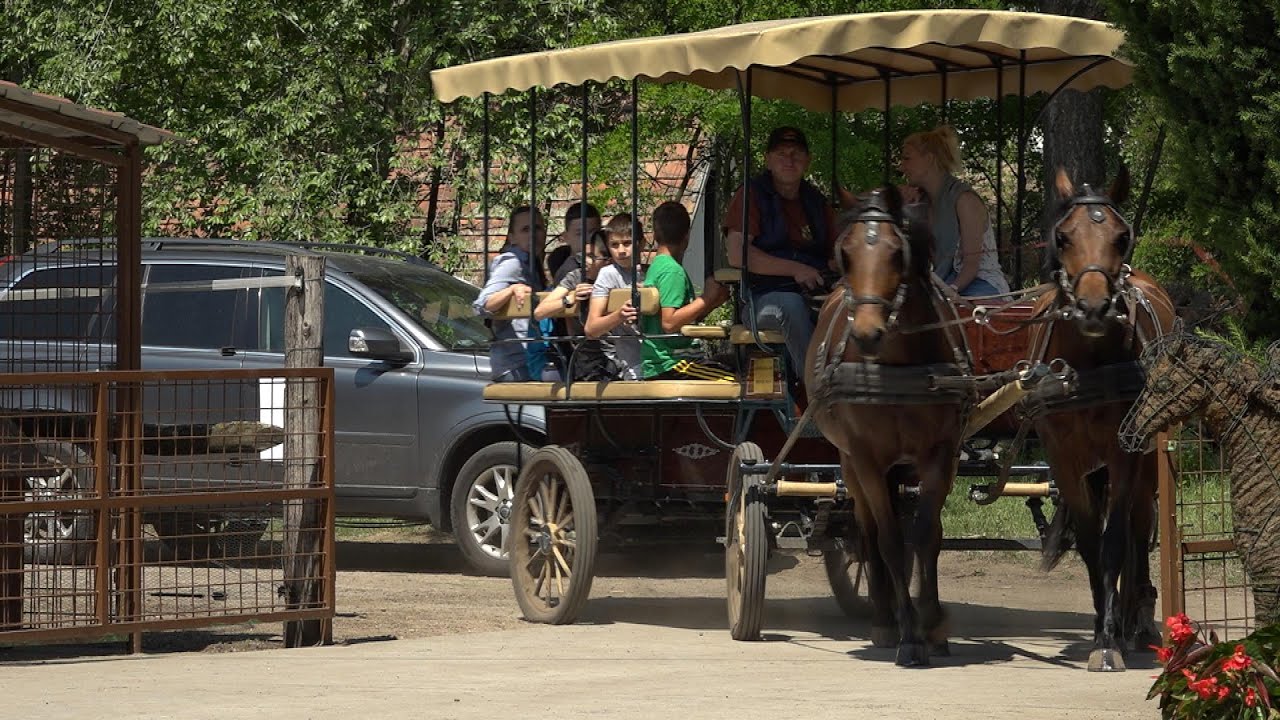 Élményajándék gyerekeknek a Napfény Lovastanyán