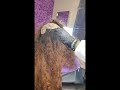 Watch This Amazing Hd Lace Weave Install Hair Transformation #hairtransformation #lacefrontal #sewin