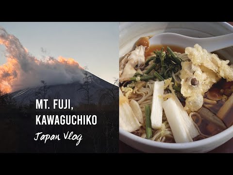 Trip to beautiful mt. Fuji Kawaguchiko, Japanese street food | Japan Vlog ðŊðĩ