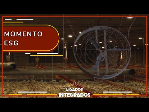 Tecnologia transforma amônia produzida no aviário em fertilizante | Ligados&Integrados - 06/04/2023