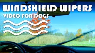 VIDEO FOR DOGS AND CATS TO WATCH - Windshield Wipers.