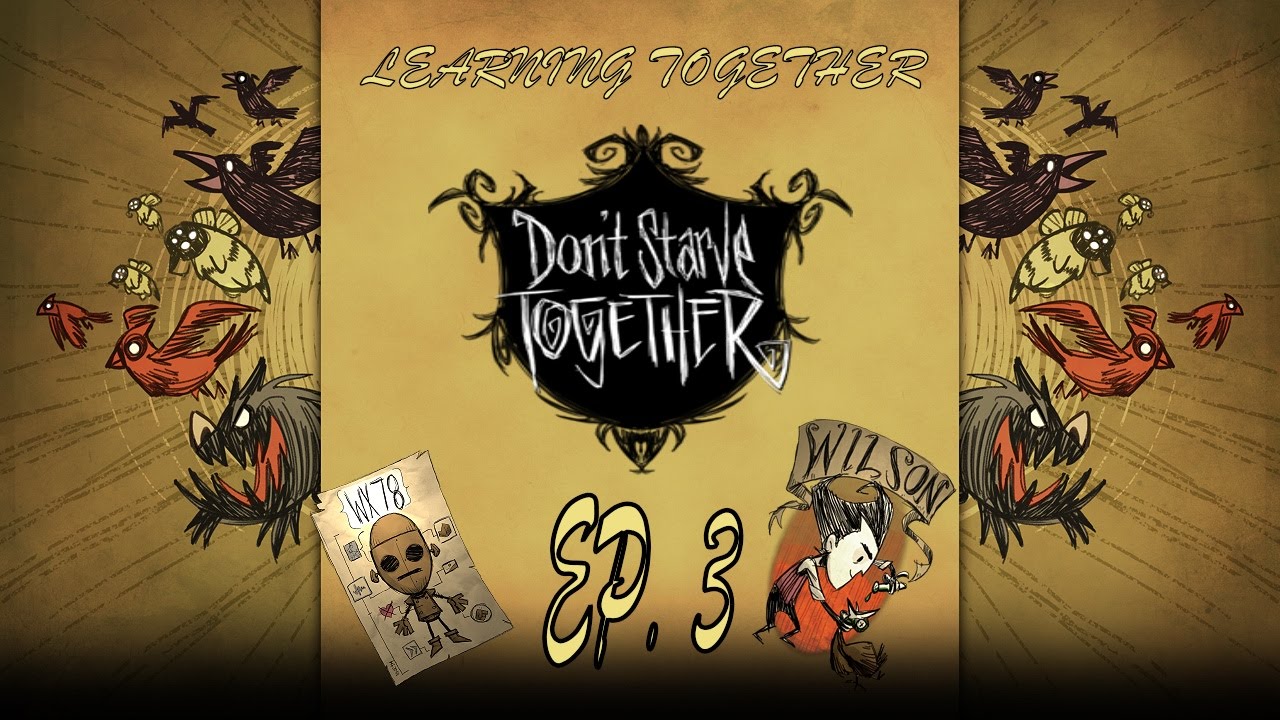 DST Learning Together con El Flaco Ep. 3 - En busca de morsas - YouTube